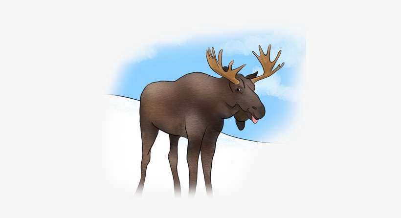 Moose, transparent png download