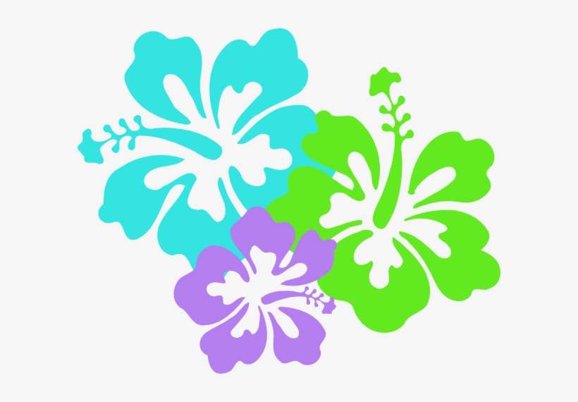 Hibiscus-hi - Hawaii Flower Png, transparent png download