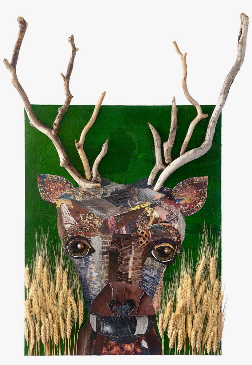 2018 - Elk, transparent png download