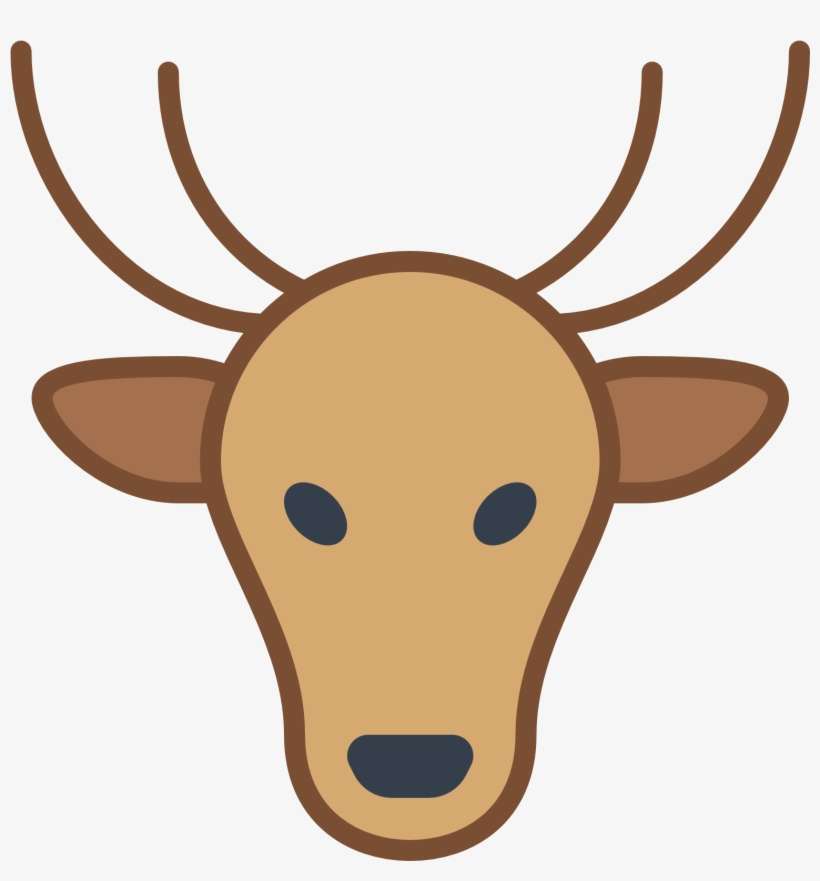 The Skull Profile Of A Deer, Facing Foward - Deer, transparent png download