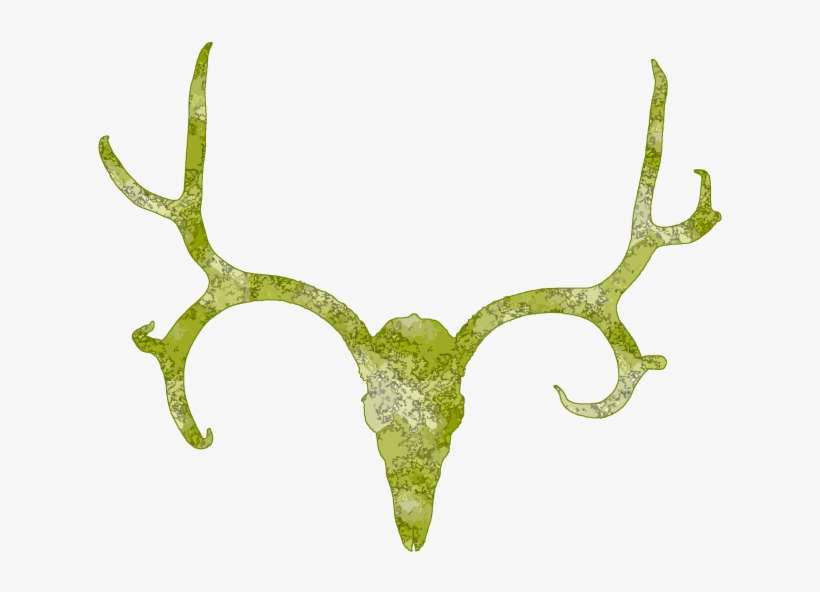 Antler Clipart Deer Skull - Antler Clip Art Png, transparent png download