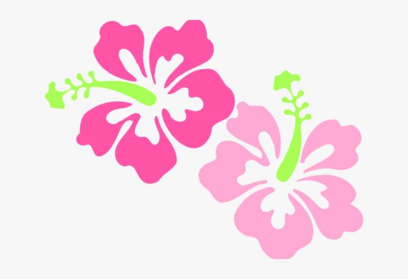 Hawaiian Flowers Clipart - Hibiscus Clip Art, transparent png download