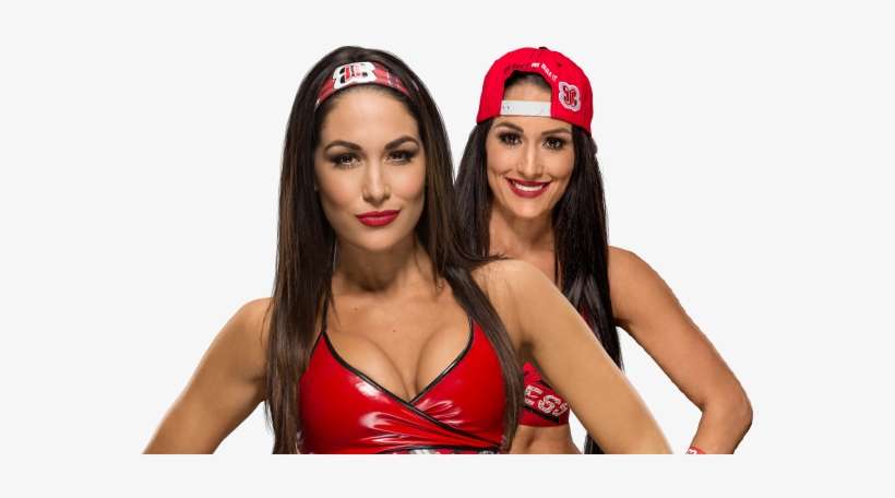 Official Merchandise - Brie Bella Breast, transparent png download