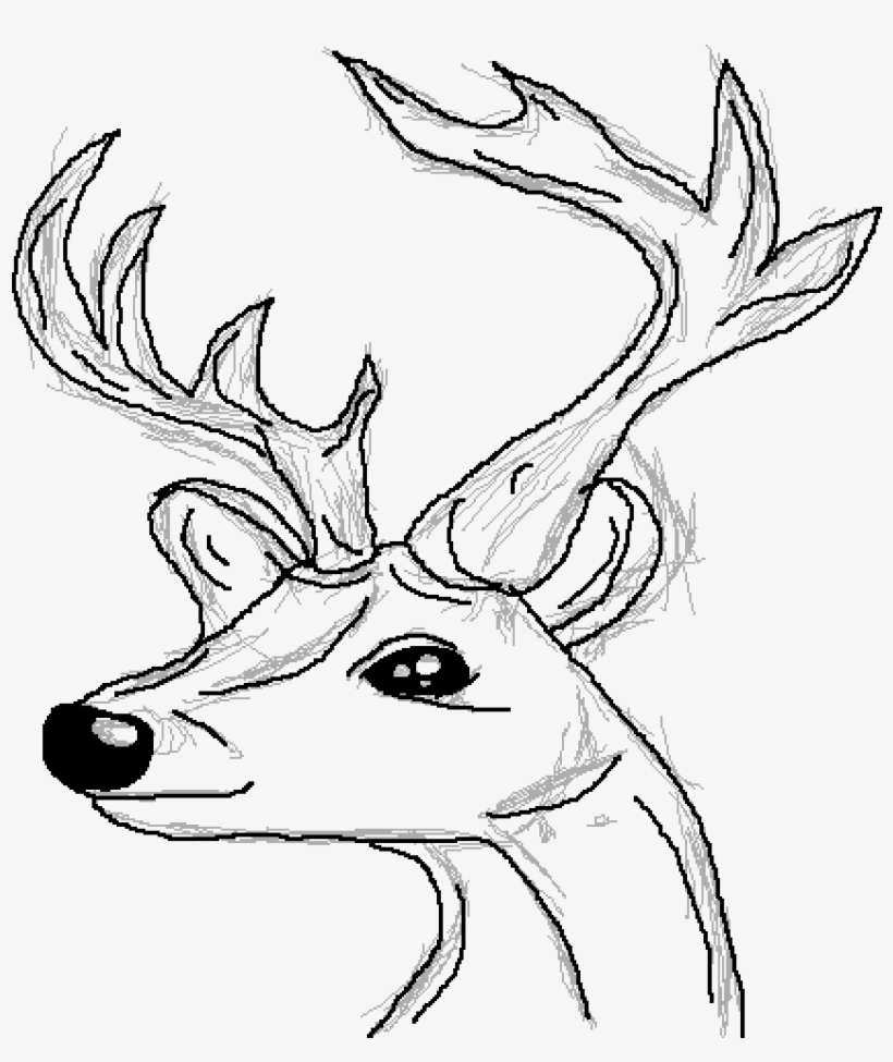 Deer Horn Drawing Deer - Antler, transparent png download