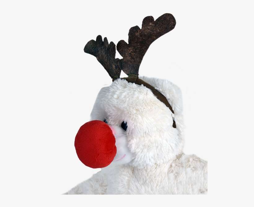 Reindeer Antlers & Nose - Reindeer, transparent png download
