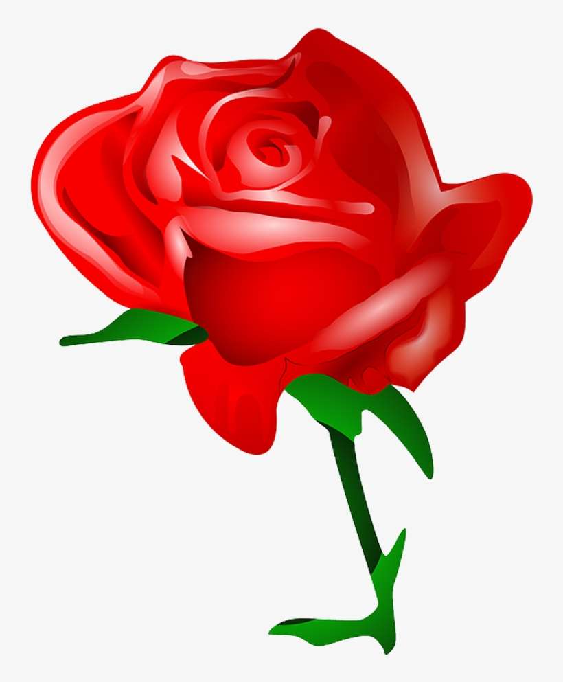Graphic Free Stock Collection Of Single Buy Any Image - Valentines Day Roses Clipart, transparent png download