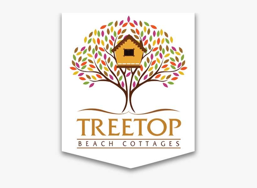 Beach, transparent png download