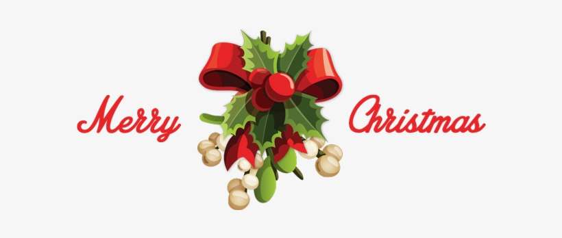 We Wish You All A Merry Christmas And A Happy And Successful, transparent png download