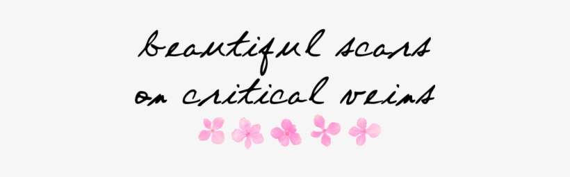 Transparent Time Quote - Quote Transparent, transparent png download