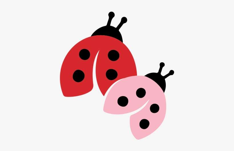 Ladybug For Girls Foundation, Inc - Ladybug, transparent png download