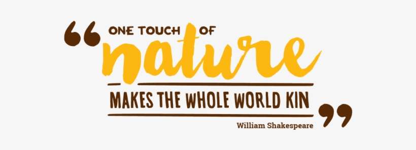 Quotes Onetouchofnature - Png Pics Of Quotes, transparent png download