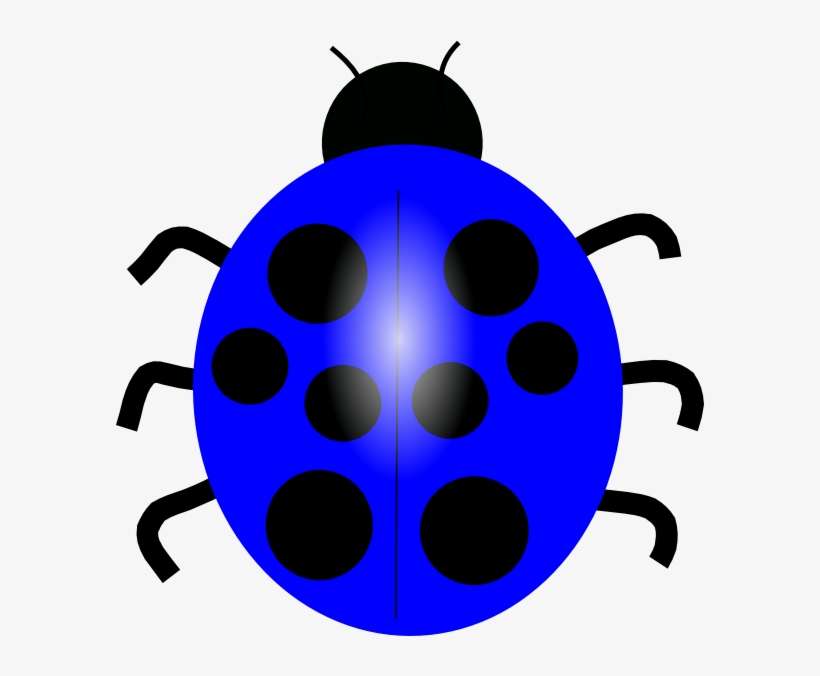 Dark Blue Ladybug Clip Art At Clker Blue Bug Clip Art PNG Image