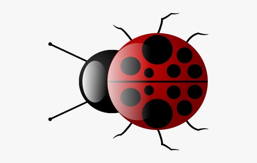 Make Your Own Ladybug *beginners* - Lady Bug Clear Background, transparent png download