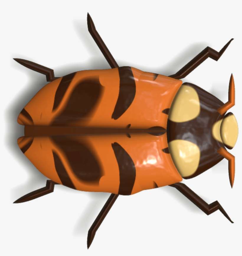 Animals - Insectos En Png, transparent png download