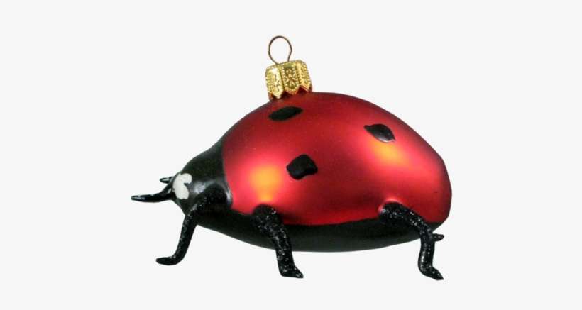 Ladybug Ladybug Ladybug - Ladybird Beetle, transparent png download
