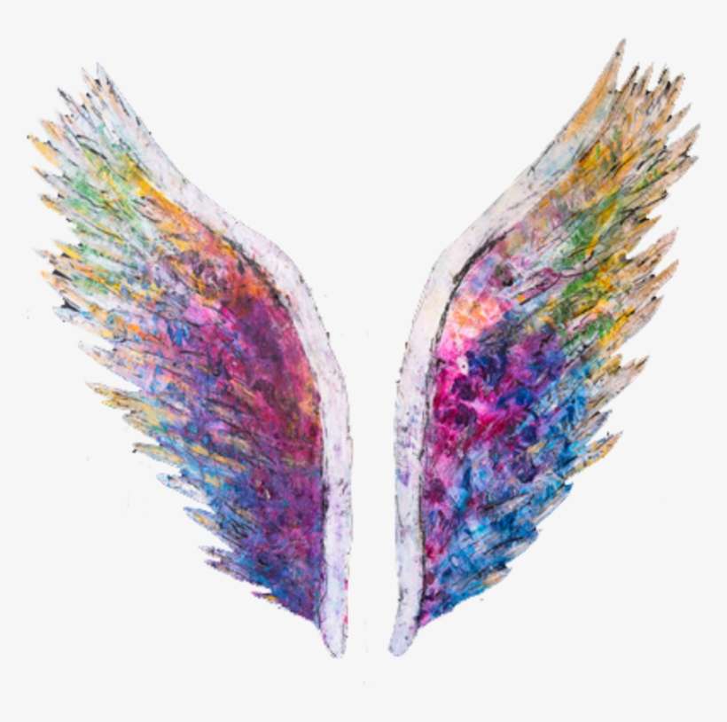 Modinha Ou Não, As Fotos Tiradas Em Paredes Com Asas - Asas Tumblr Png, transparent png download