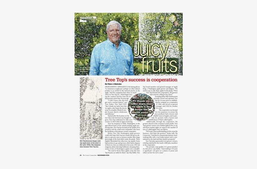 26 Cool Tree Top Png With 26 Cool Tree Top Png - Garden, transparent png download