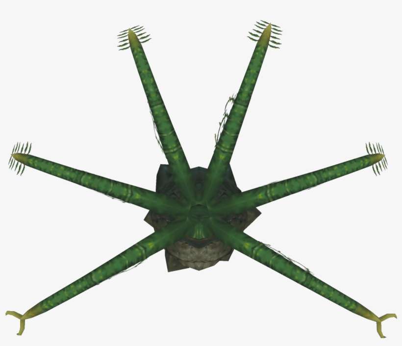 Familytree Top - Insect, transparent png download