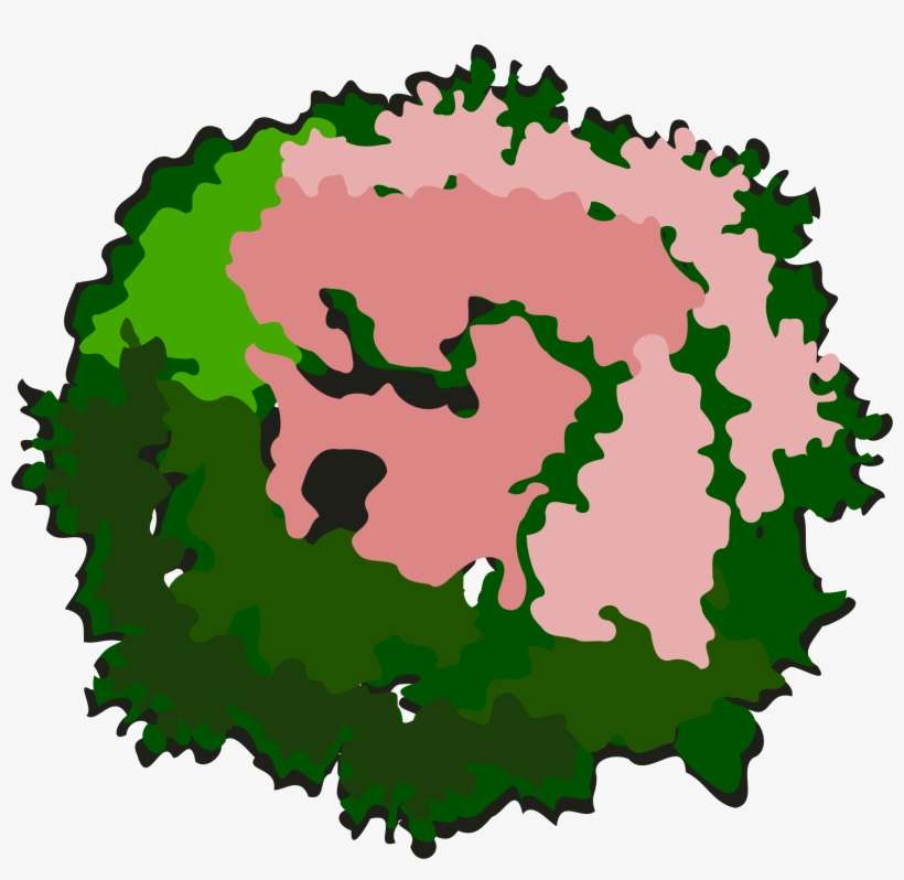 Clipart Tree 30a - Clip Art, transparent png download