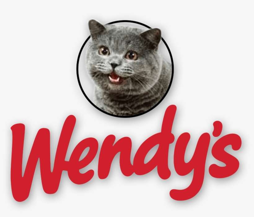 Wendy's Logo With Cheezburger Cat - Cat At Wendy's, transparent png download