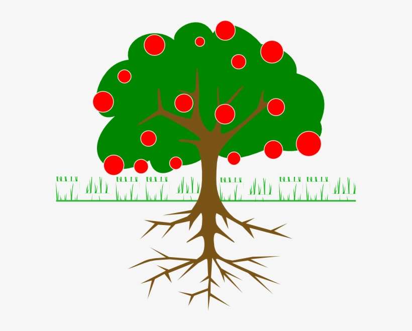 Orange Tree Vector - Cartoon Tree With Fruit, transparent png download