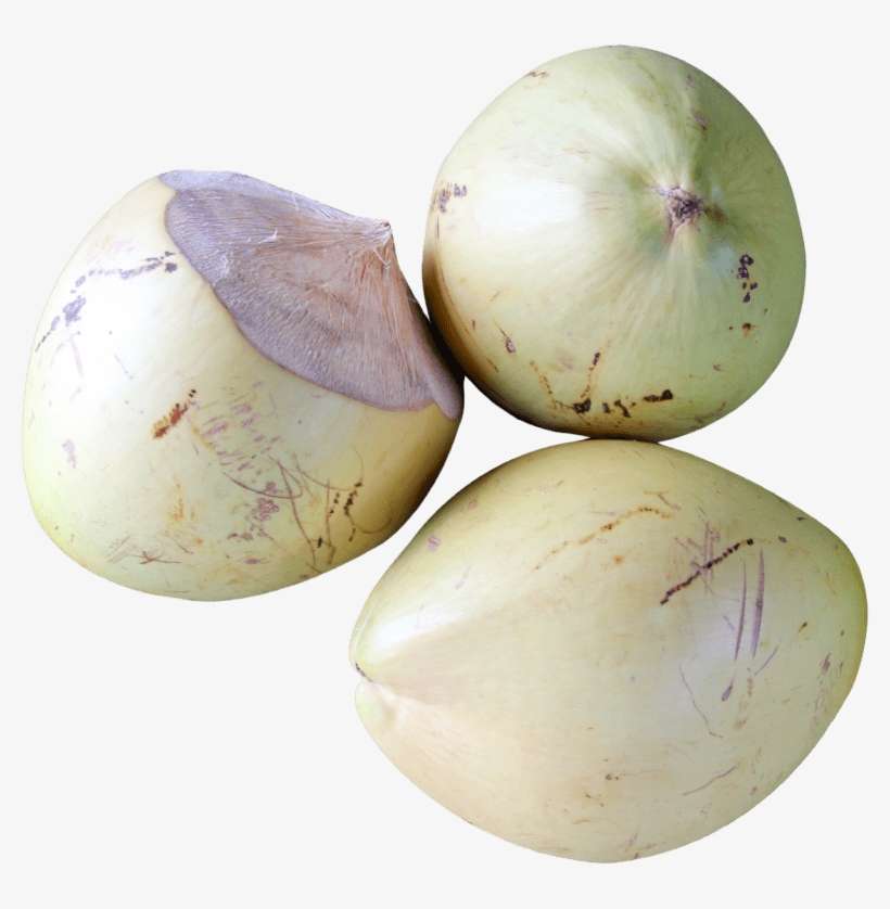Free Png Top View Of Coconut Png Images Transparent - Coconut Top View Png, transparent png download