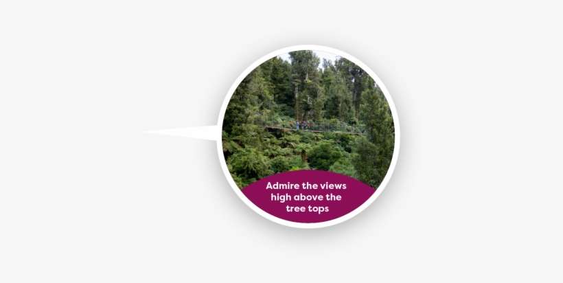 Look Out Over The Gulley, Enjoy The View - Shortstraw Pine, transparent png download