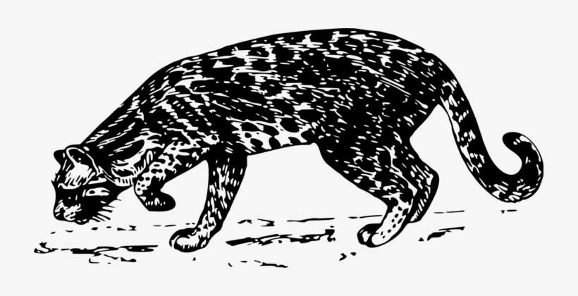 Leopard Jaguar Tiger Cheetah Ocelot, transparent png download