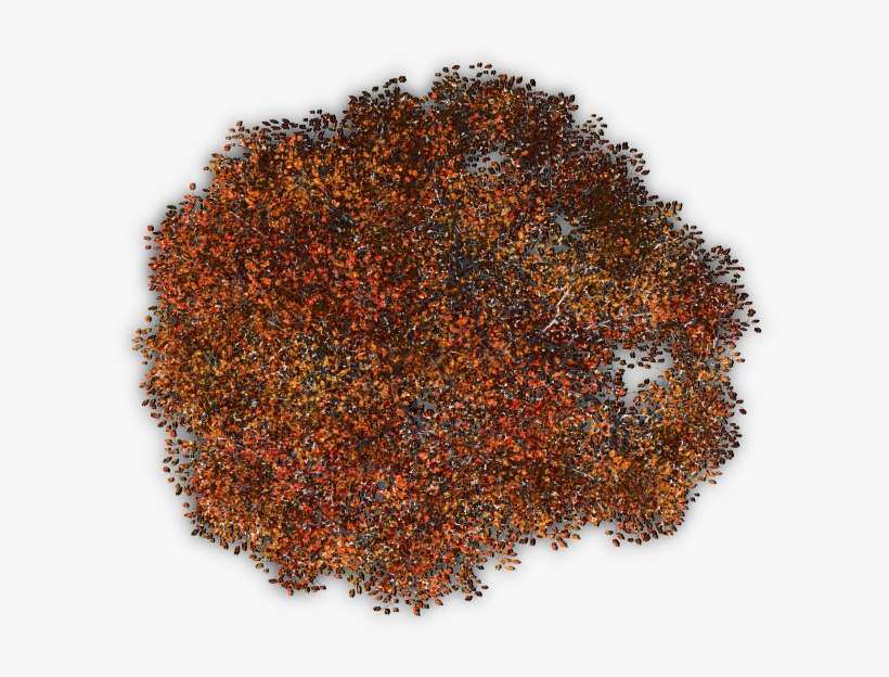 Trees Tree Blossoms Nature Red Autumn Topview Orange - Autumn, transparent png download