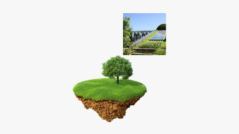 Bta Is Committed To Green Technologies Working To Continually - Yard, transparent png download