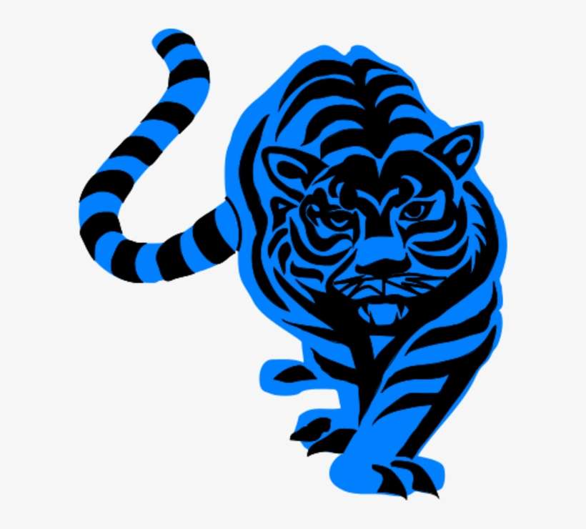 Tiger Walking Forward Looking Aggressive - Tiger Png Black And White, transparent png download