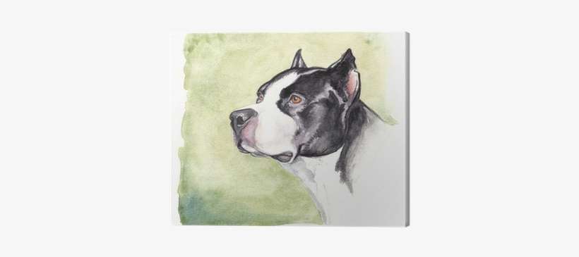 Lava Boxer Painted Throw Pillow, Multi-colored, transparent png download