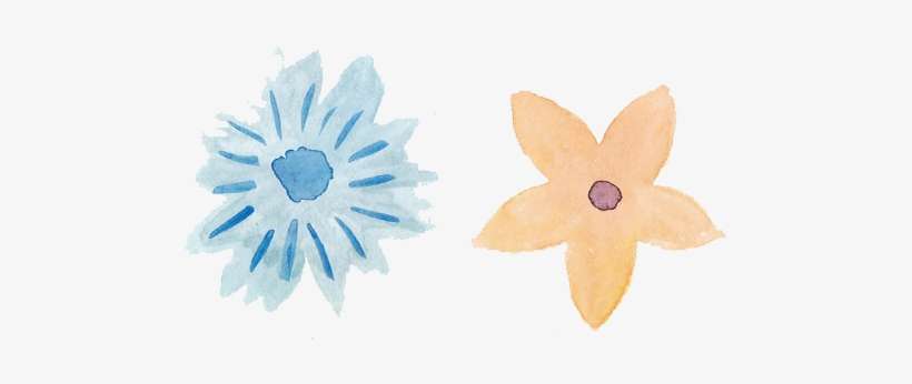 Free Watercolor Pack Flowers - Flag Png Image | Transparent Png Free Download On Seekpng