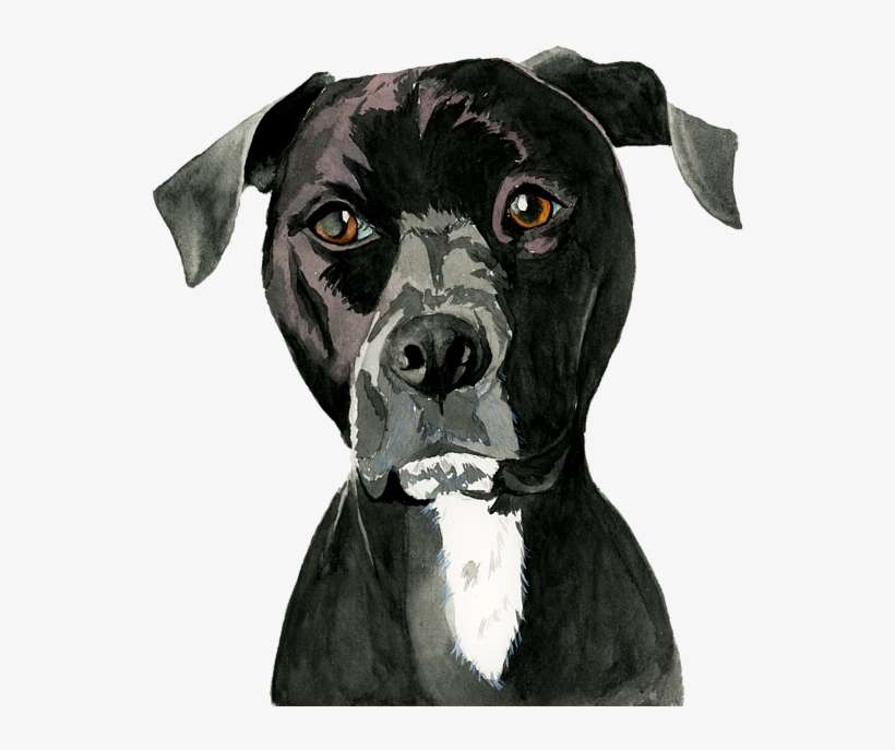 Bleed Area May Not Be Visible - American Pit Bull Terrier, transparent png download