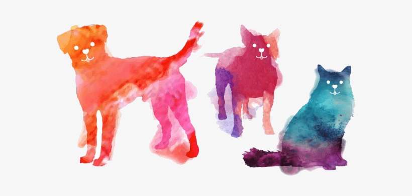 Pet Care, transparent png download