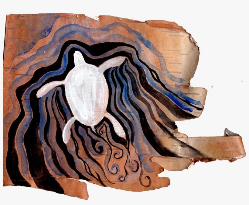 D Turtle On Birchbark - Totem, transparent png download