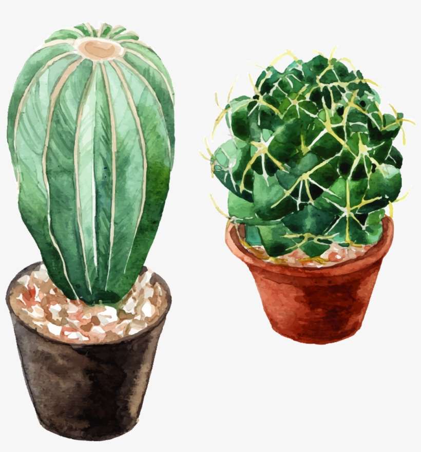 Leaves Leaf Nature Watercolors Watercolor Watercolours - Cactus With Flowers Watercolor Png, transparent png download