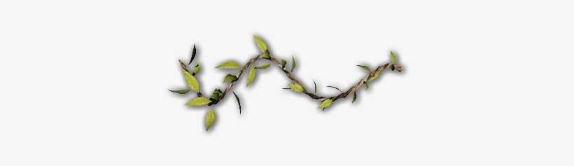 Vines Of Thorns Png Black And White Stock - Twig, transparent png download