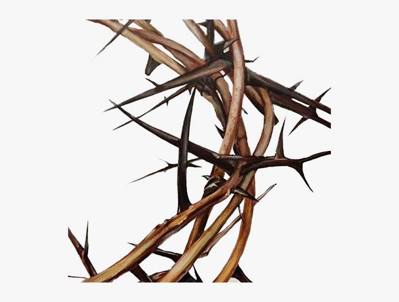 Thorns - Bts As Greek Gods, transparent png download