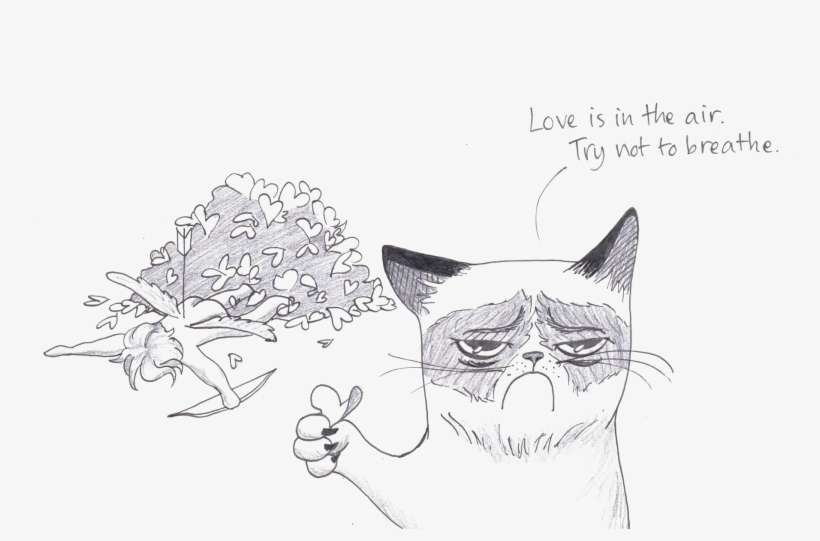 Roses And Thorns - Domestic Short-haired Cat, transparent png download