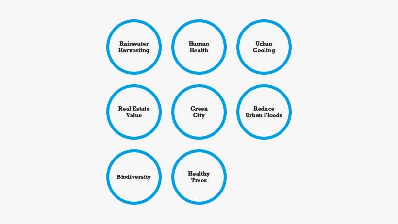 Landscaped-suds - Diagram, transparent png download