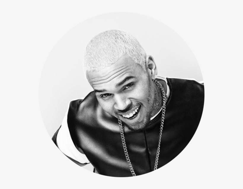 Chris Brown - Dmx Chris Brown, transparent png download