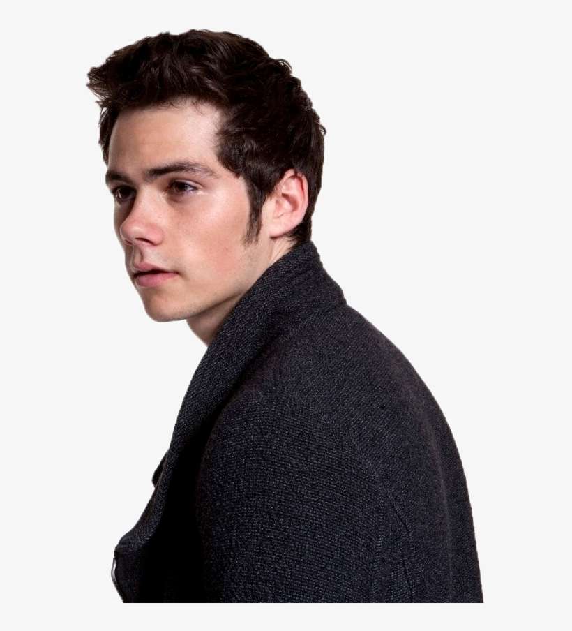 52 Images About P N G S On We Heart It - Shawn Mendes Transparent Background, transparent png download