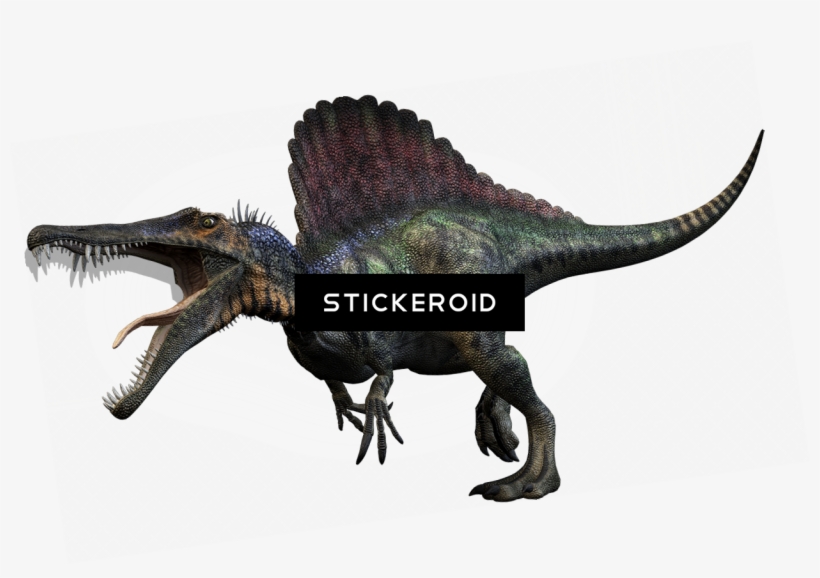 Spinosaurus Animals Dinosaur Reptile - Mejores Imagenes De Dinosaurios, transparent png download