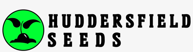 Seed, transparent png download