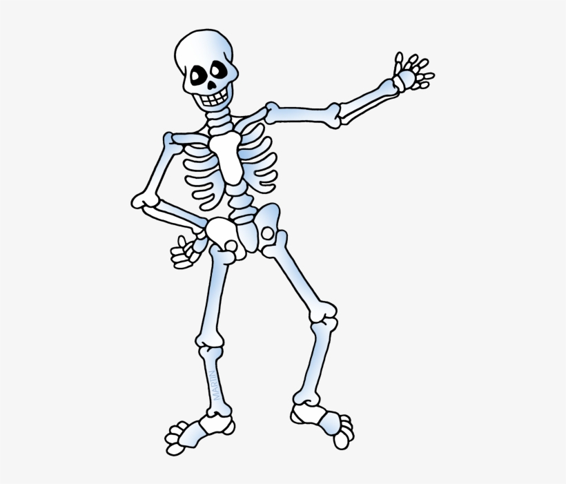 $5 Per Youth And Includes - Skeleton Clipart, transparent png download