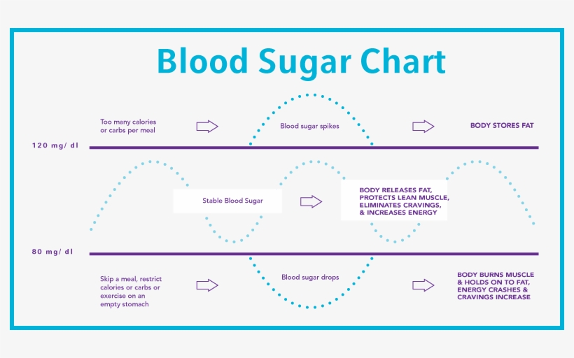 Blood Sugar Chart - Blood Sugar Balance Chart, transparent png download