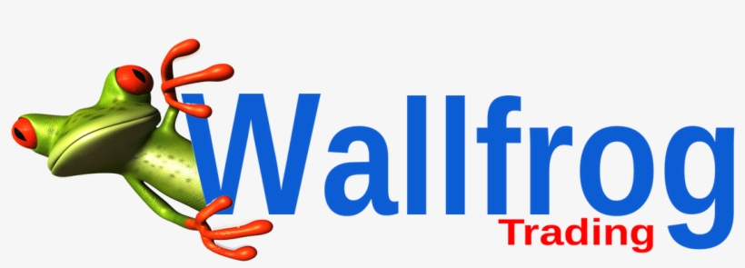 Wallfrog-trading - Haseltine Primary School, transparent png download
