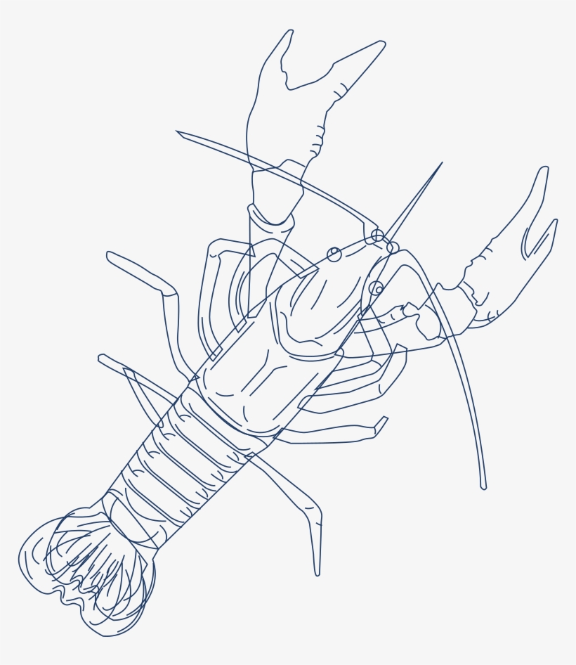 Marine Debris - Line Art, transparent png download