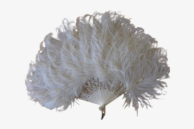 Vintage White Feather Fan - Common Ostrich PNG Image | Transparent PNG